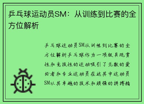 乒乓球运动员SM：从训练到比赛的全方位解析